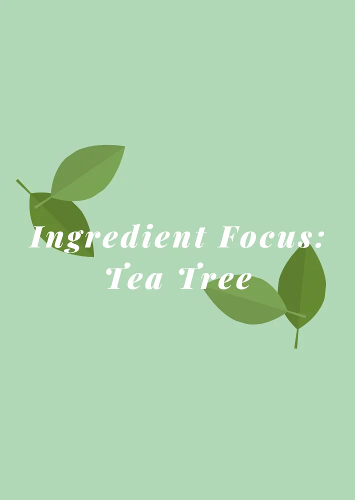 Ingredient Focus: Soothe Your Skin with Tea Tree