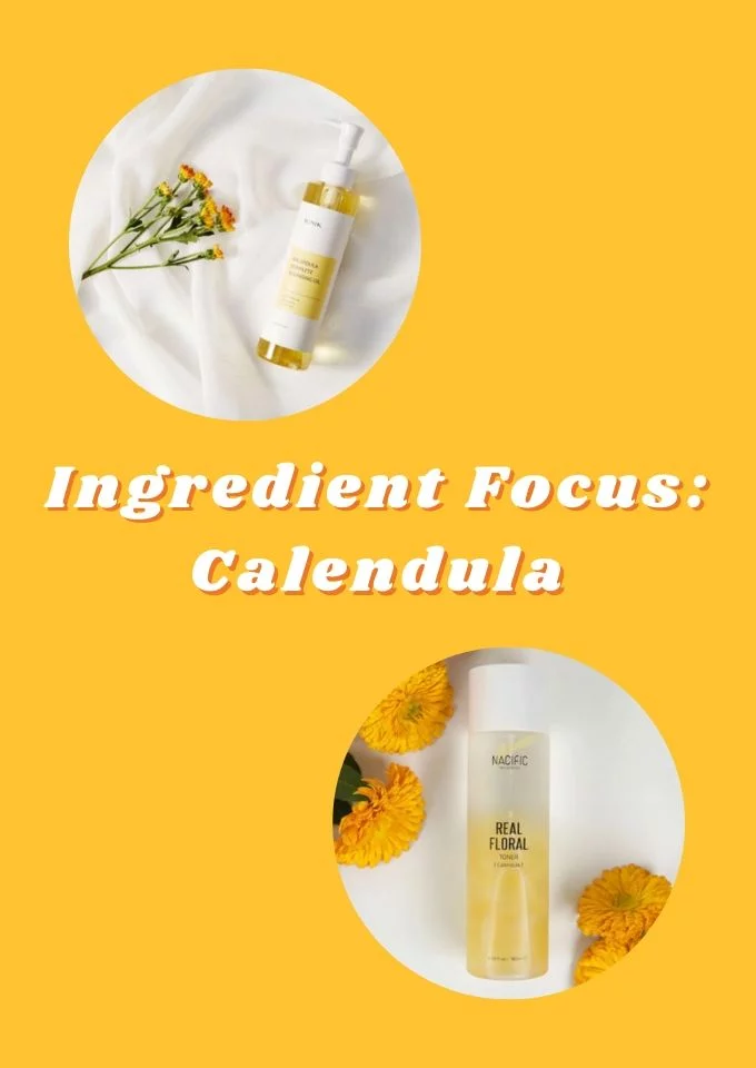 Ingredient Focus: How Calendula Can Help Repair Your Skin