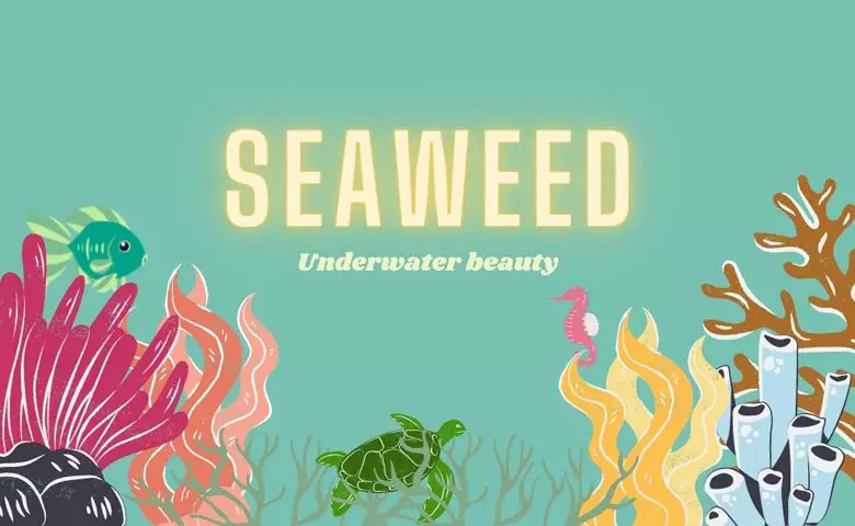 One of the Best Skinvestments: Seaweed